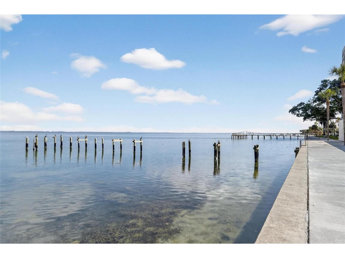 7100 Sunshine Skyway Lane S #503 Saint Petersburg FL 33711 - TAMPA BAY TB8442111 image66