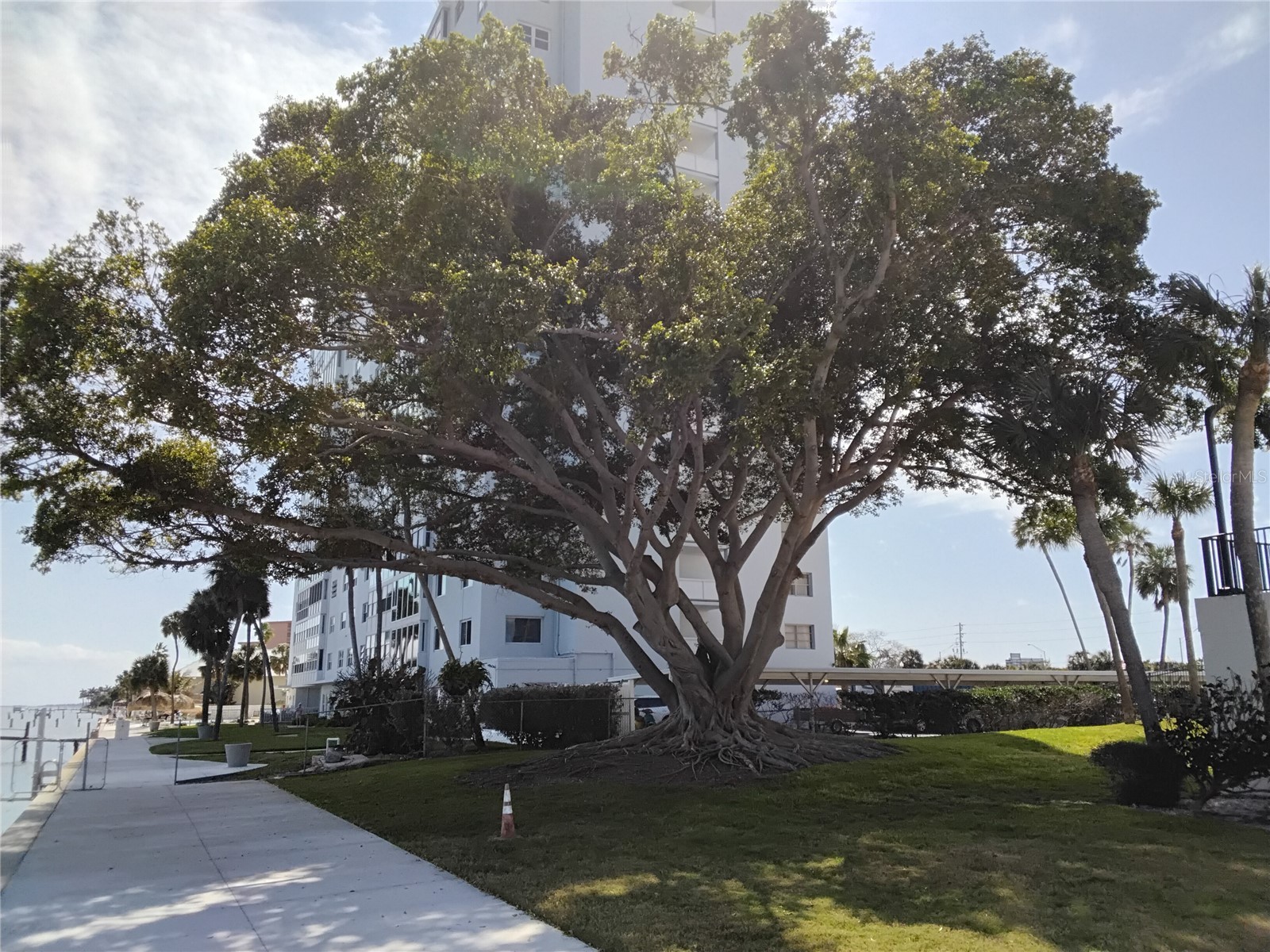 7100 Sunshine Skyway Lane S #705 Saint Petersburg FL 33711 TB8483023 image68