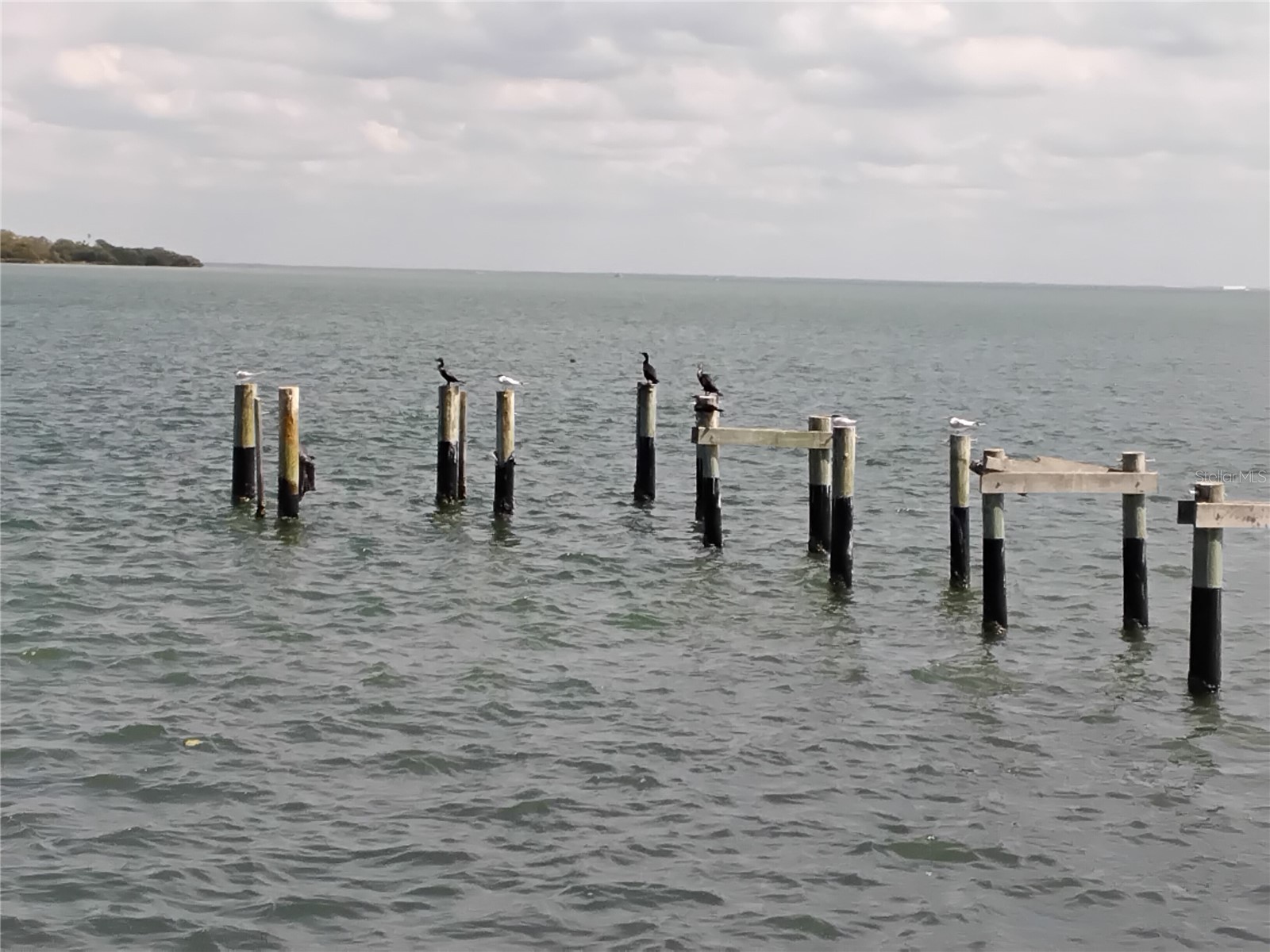 7100 Sunshine Skyway Lane S #705 Saint Petersburg FL 33711 TB8483023 image9