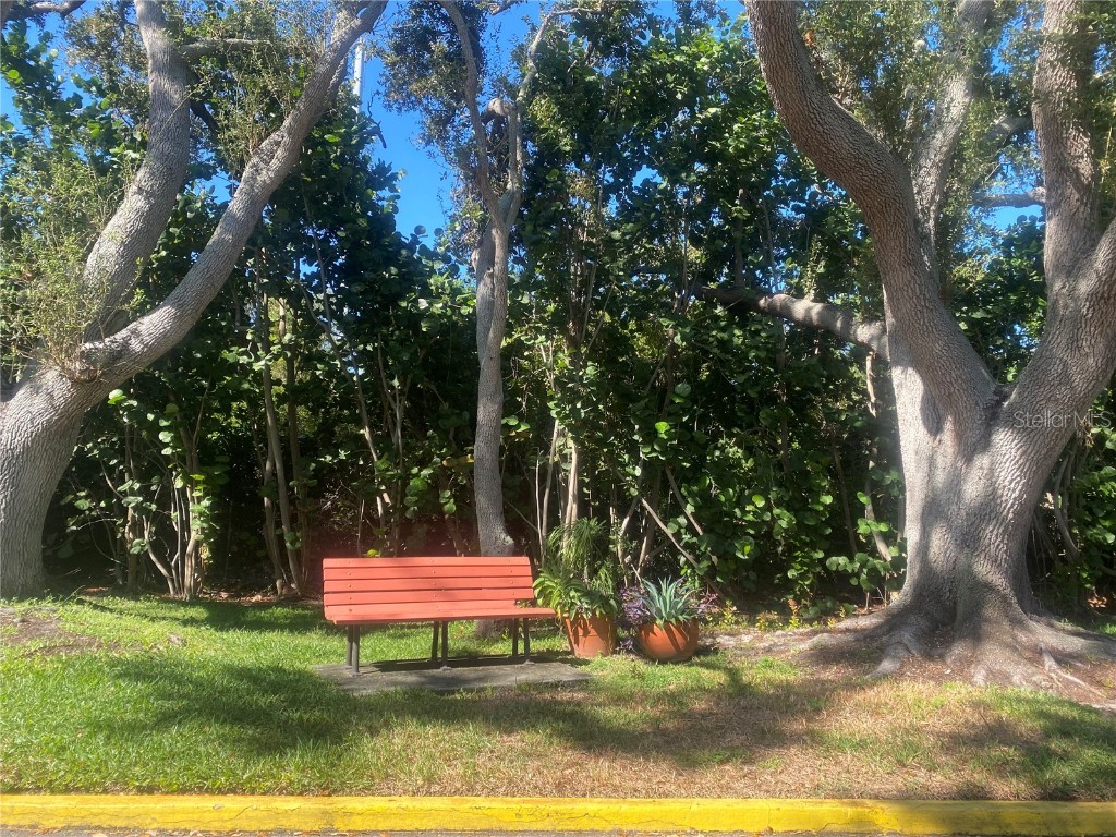 7100 Sunshine Skyway Lane S #906 Saint Petersburg FL 33711 TB8437164 image87