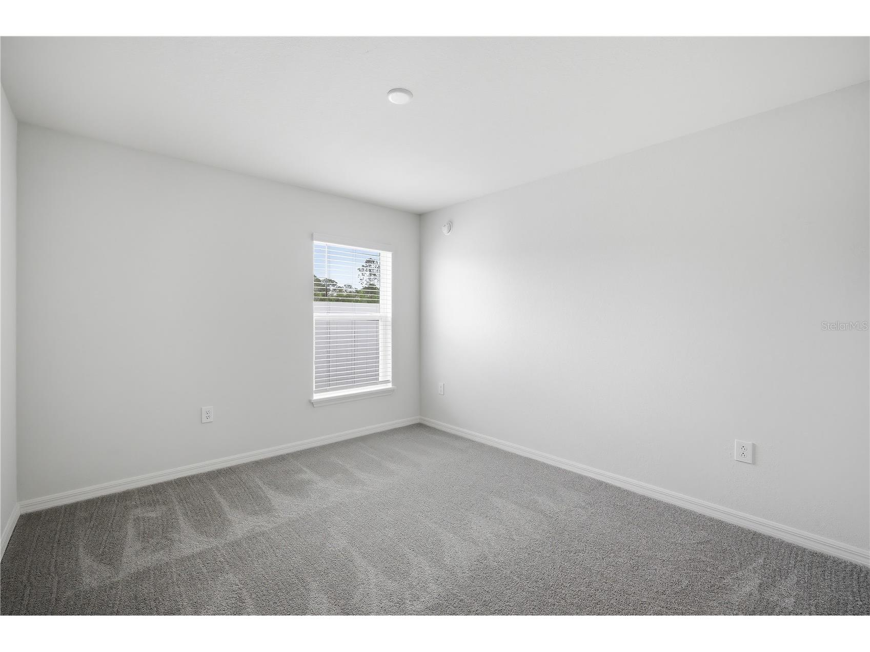 7100 Twisting Pines Loop Zephyrhills FL 33541 TB8494330 image11