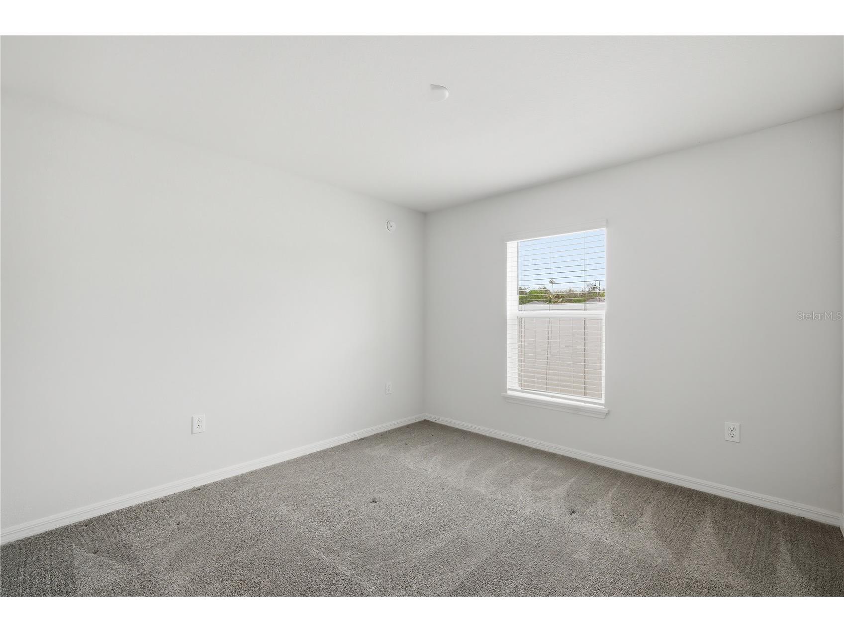 7100 Twisting Pines Loop Zephyrhills FL 33541 TB8494330 image12