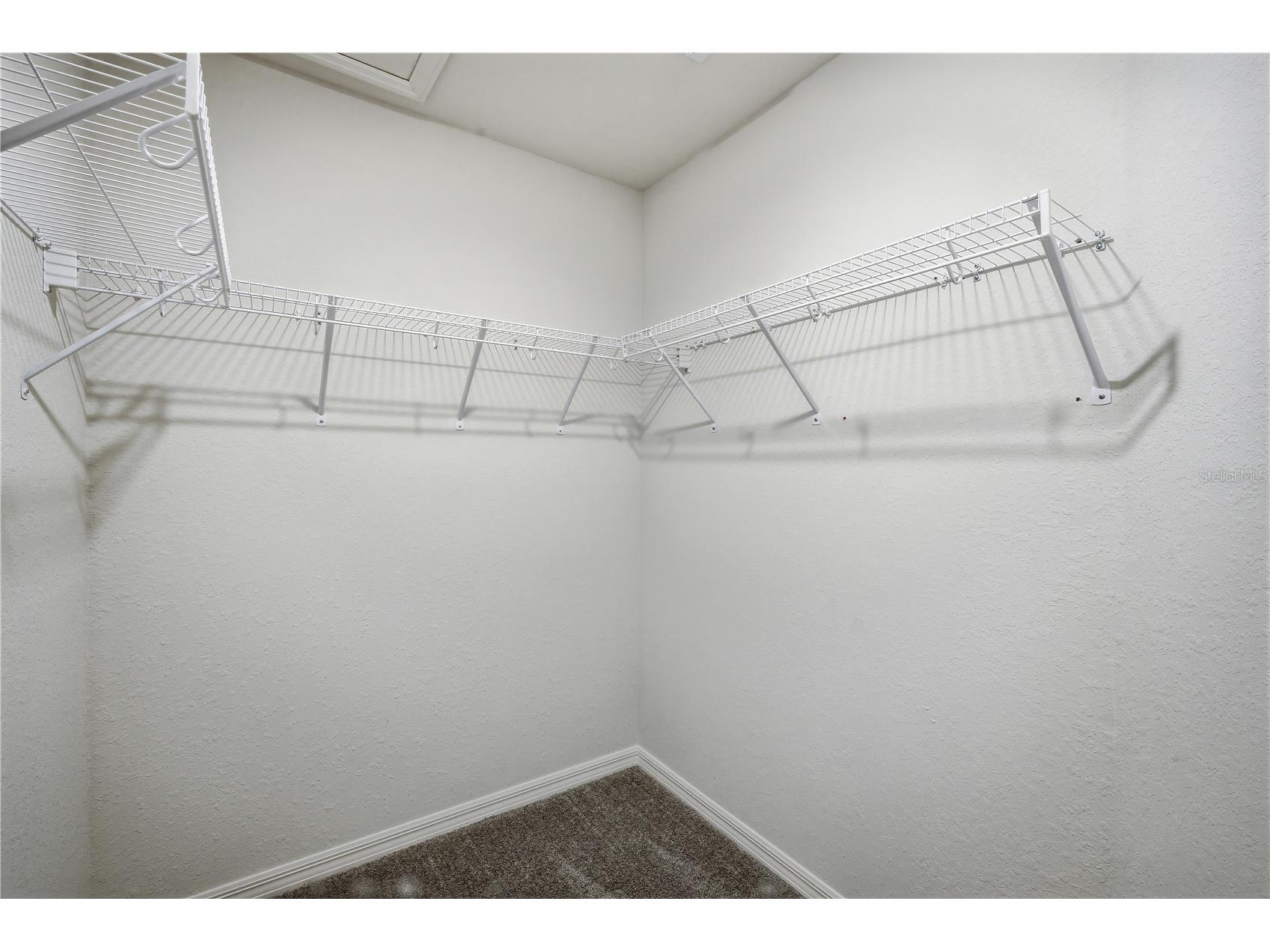 7100 Twisting Pines Loop Zephyrhills FL 33541 TB8494330 image16