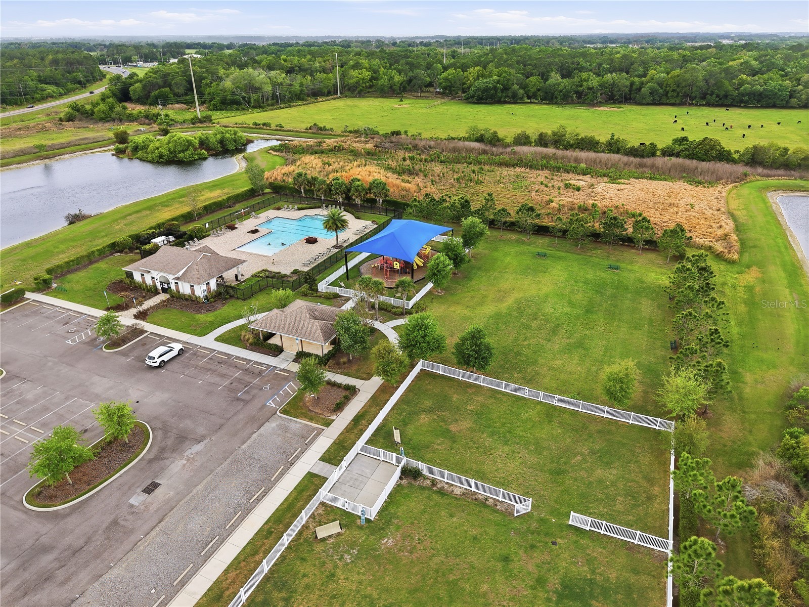 7100 Twisting Pines Loop Zephyrhills FL 33541 TB8494330 image28