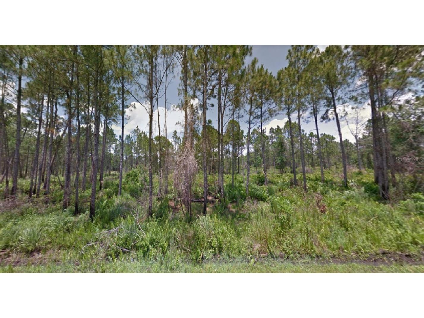 7100 Virtudes Street Sebring FL 33872 O6076775 image1