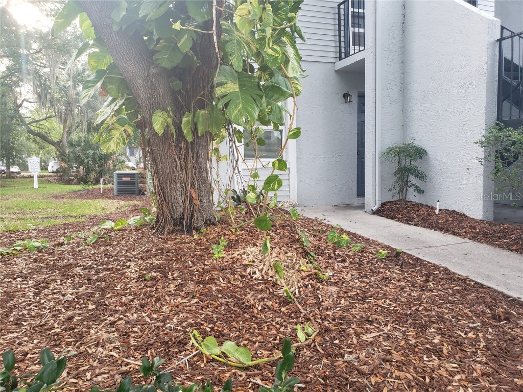 7100 Waterside Drive Tampa FL 33617 T3472490 image1