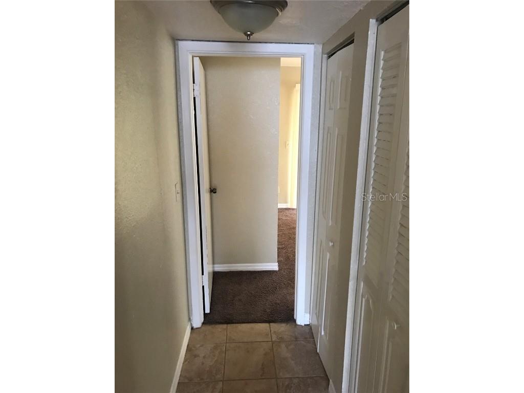 7101 E Bank Drive #7101 Tampa FL 33617 TB8444504 image5