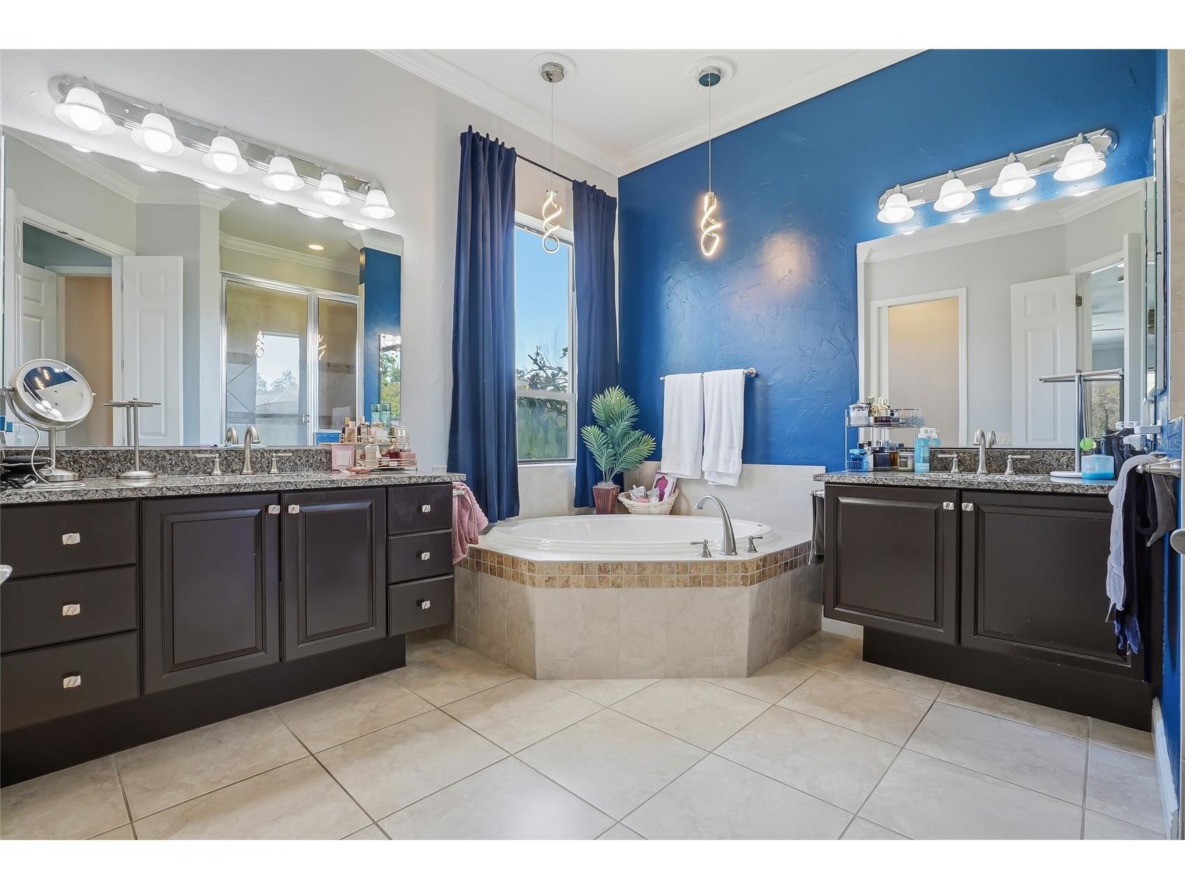 7101 Hatpin Loop Wesley Chapel FL 33545 TB8495168 image14