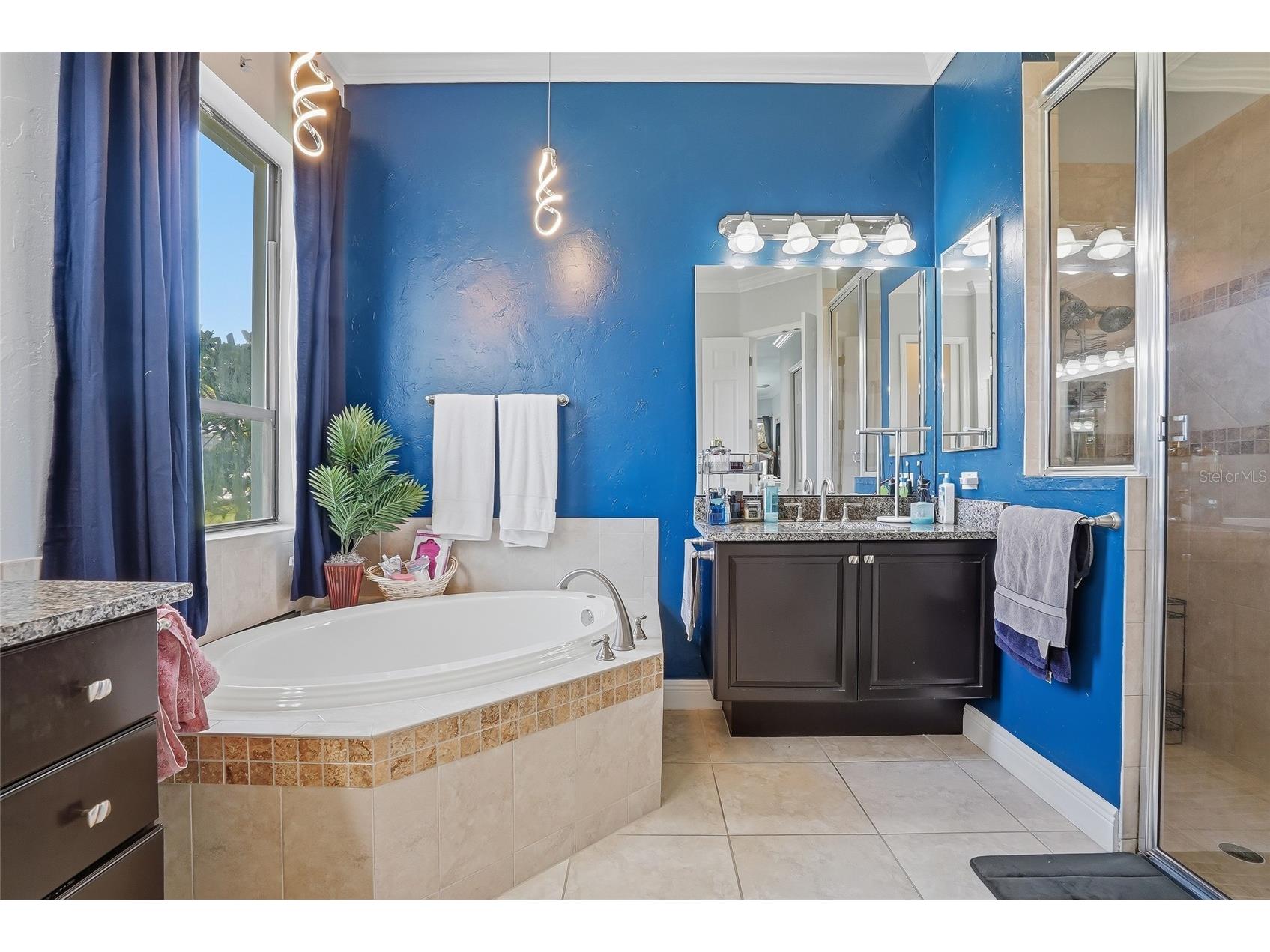 7101 Hatpin Loop Wesley Chapel FL 33545 TB8495168 image15