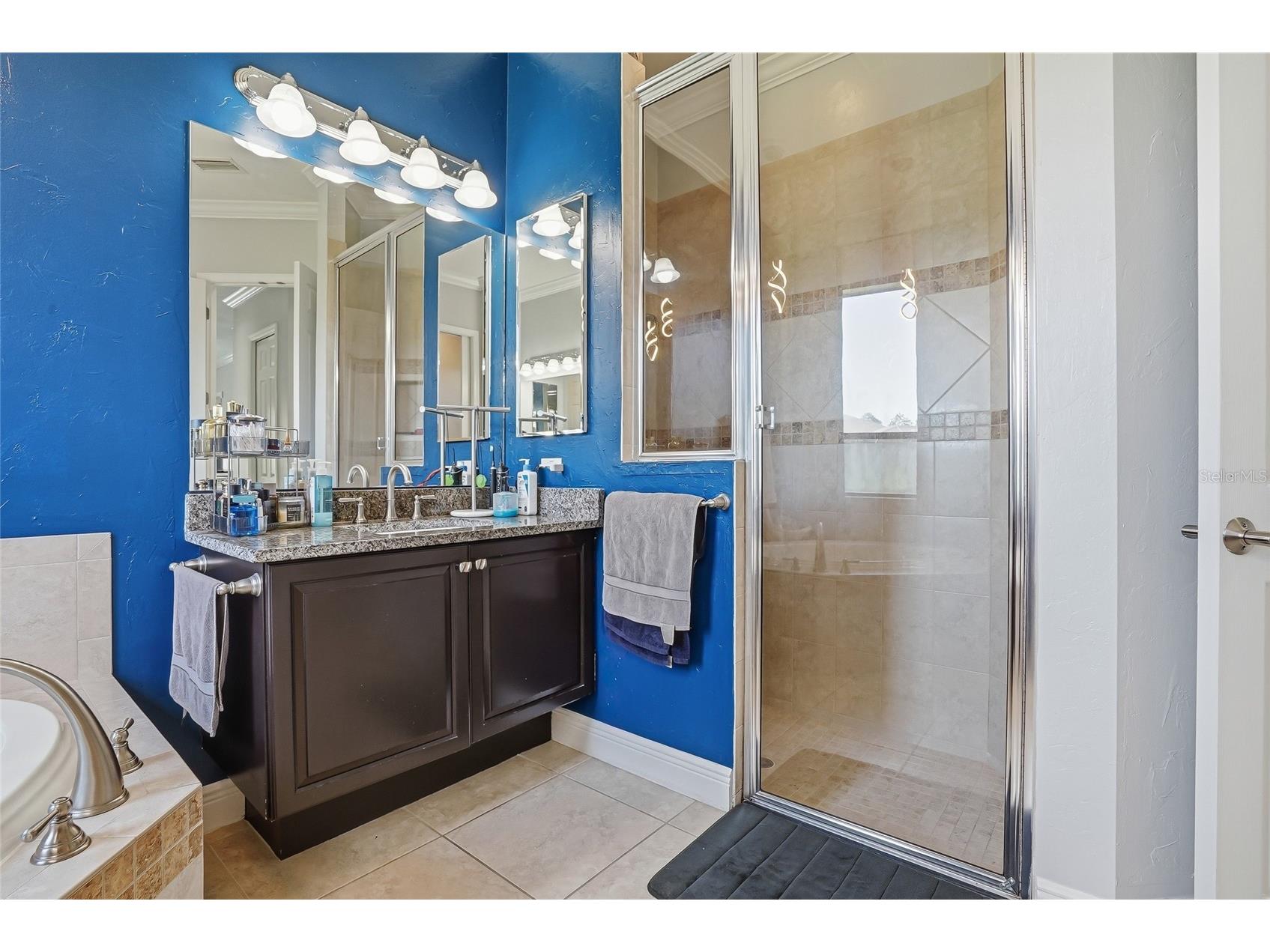 7101 Hatpin Loop Wesley Chapel FL 33545 TB8495168 image16