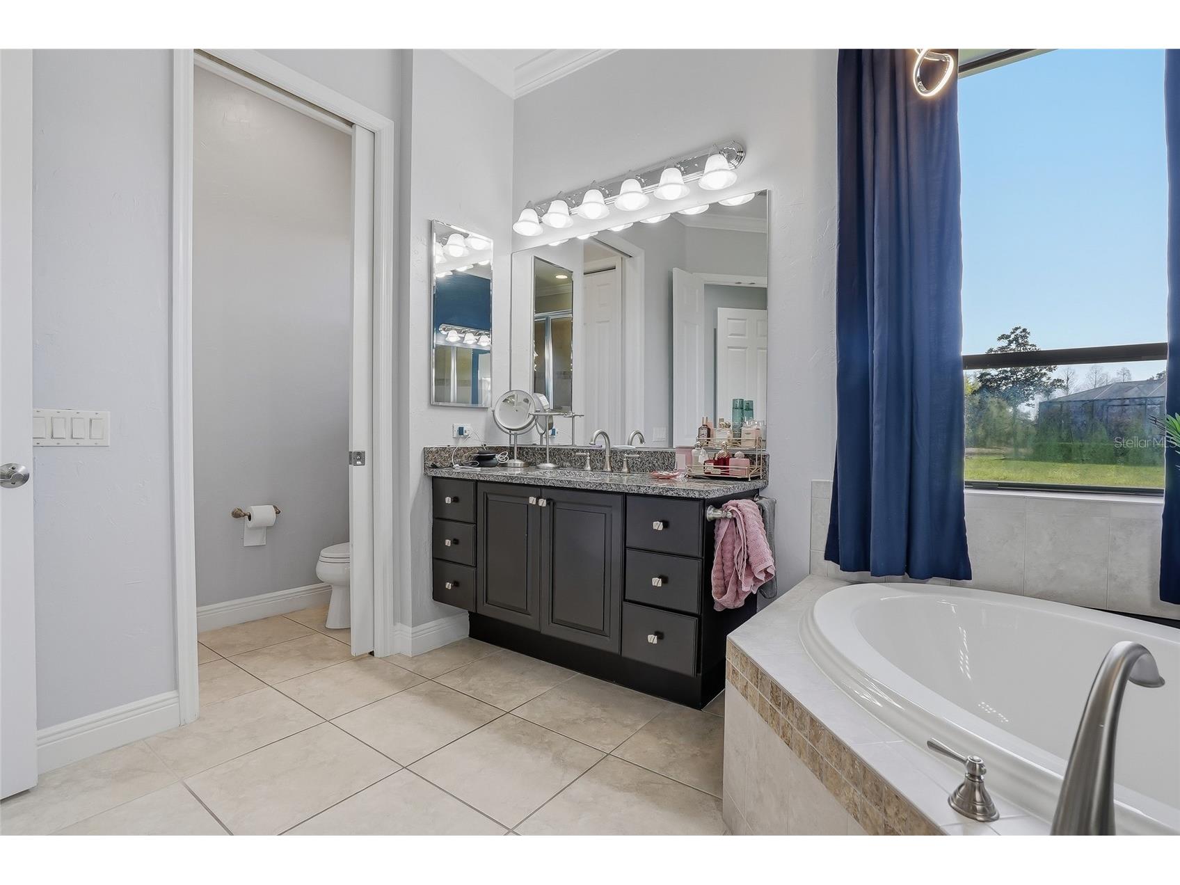 7101 Hatpin Loop Wesley Chapel FL 33545 TB8495168 image18