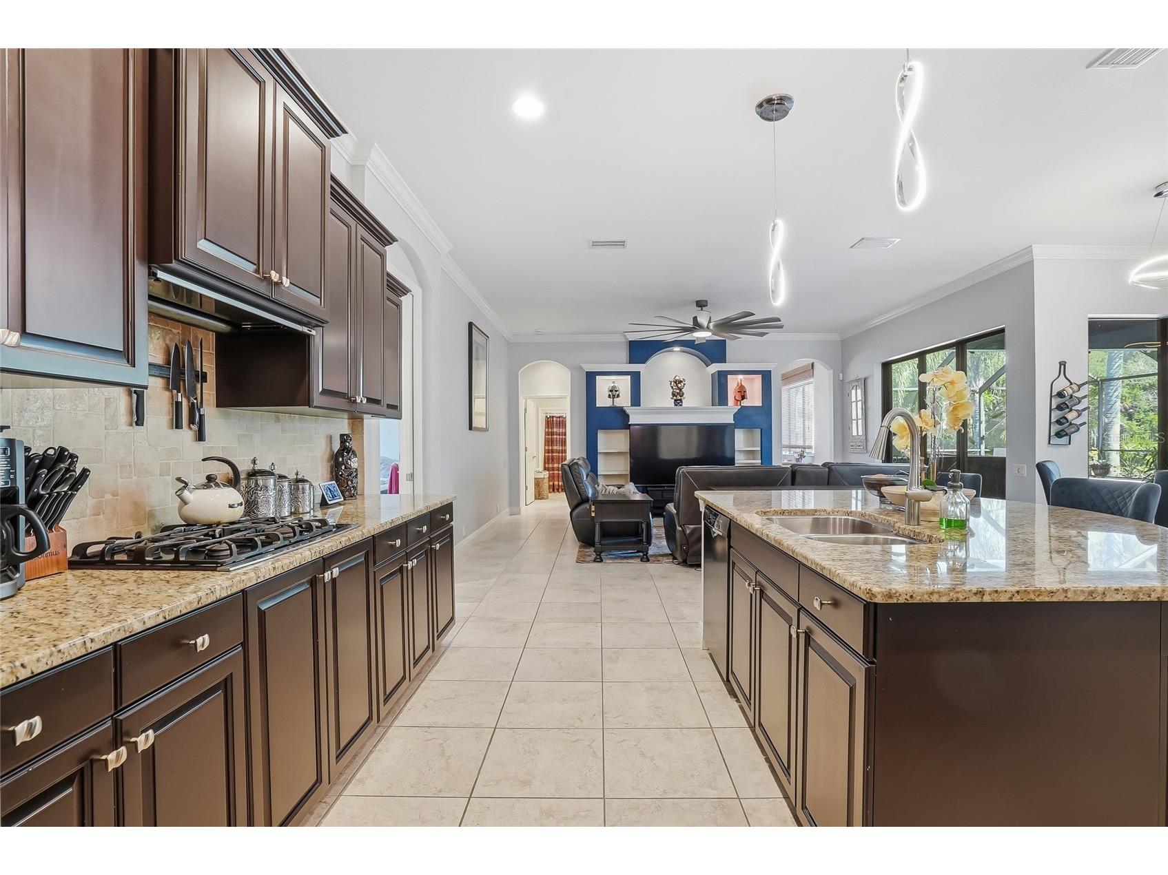 7101 Hatpin Loop Wesley Chapel FL 33545 TB8495168 image24