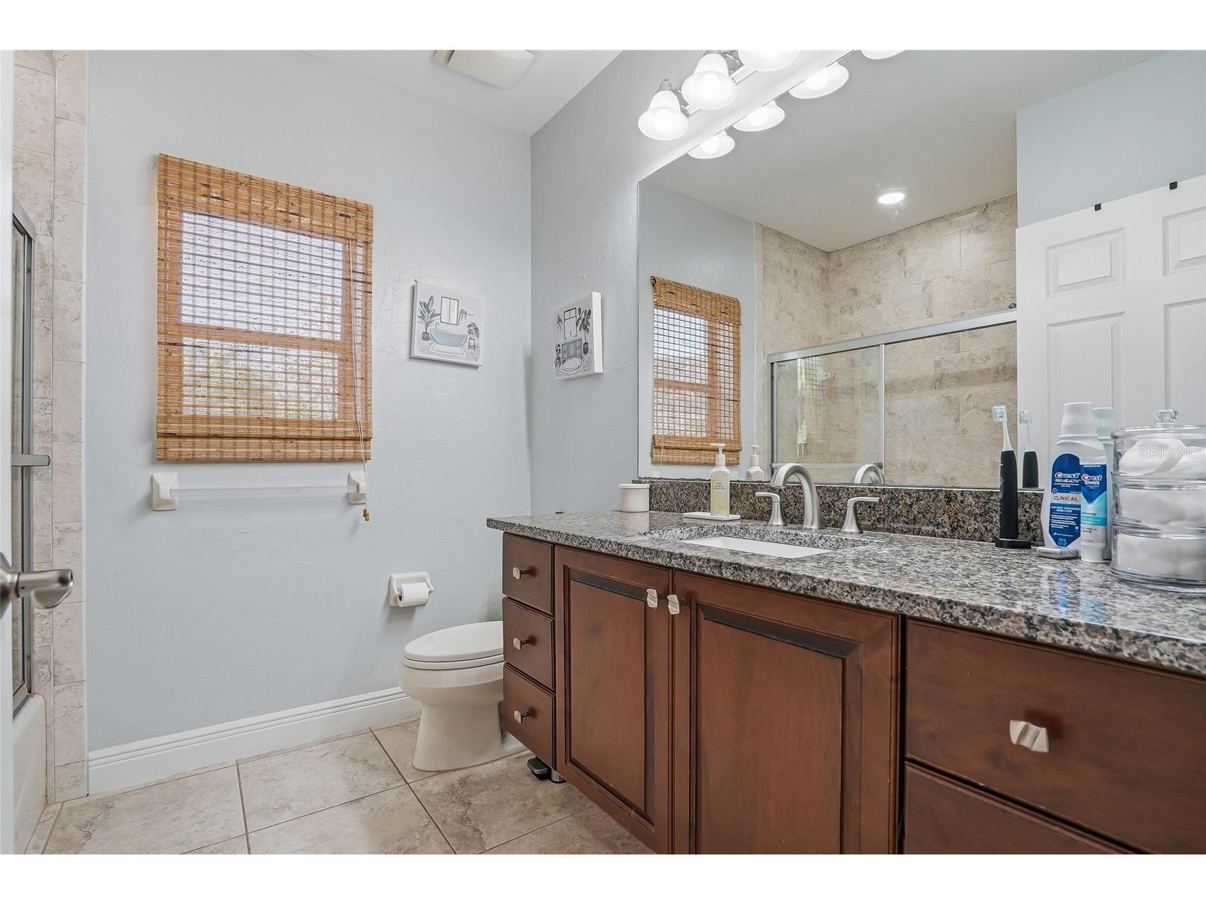 7101 Hatpin Loop Wesley Chapel FL 33545 TB8495168 image39