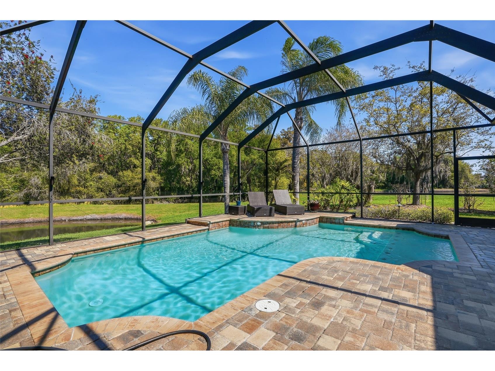 7101 Hatpin Loop Wesley Chapel FL 33545 TB8495168 image47
