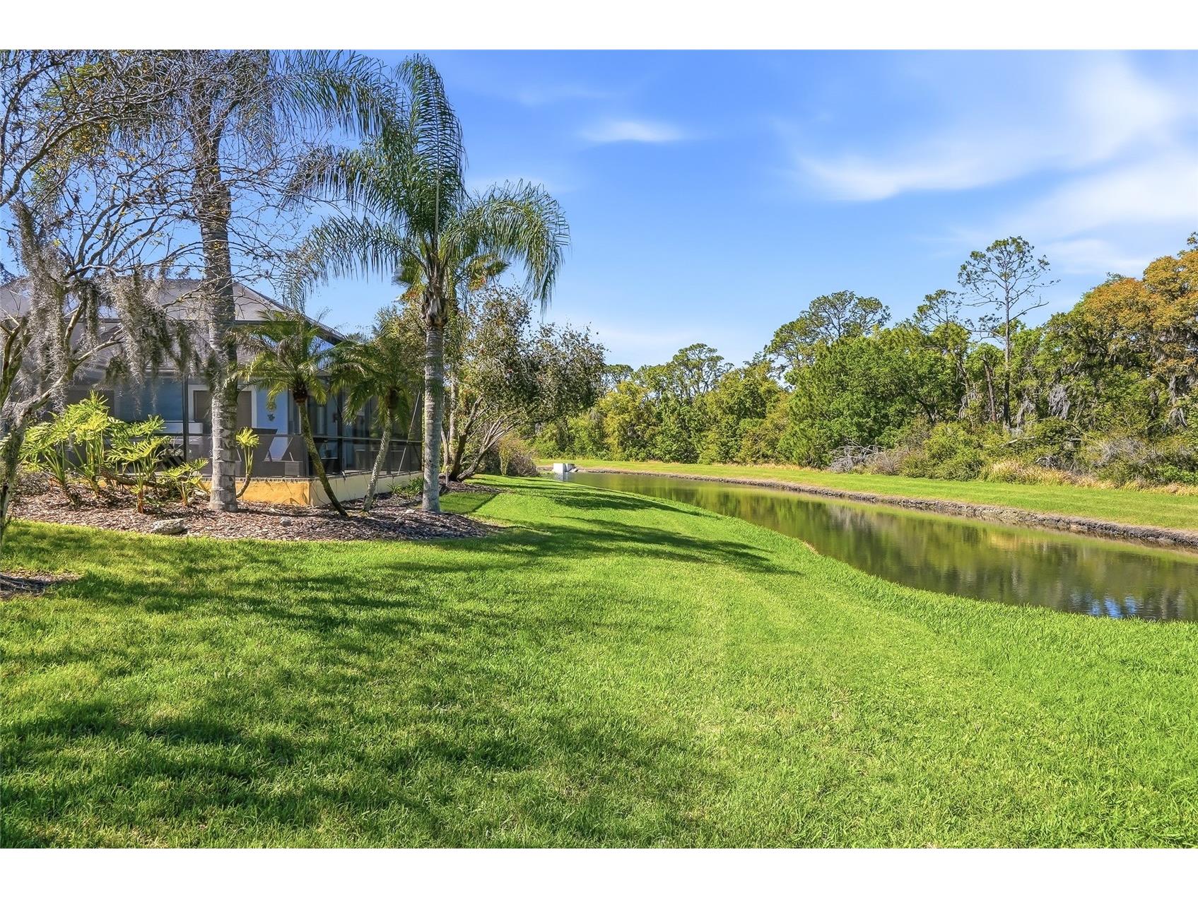 7101 Hatpin Loop Wesley Chapel FL 33545 TB8495168 image57