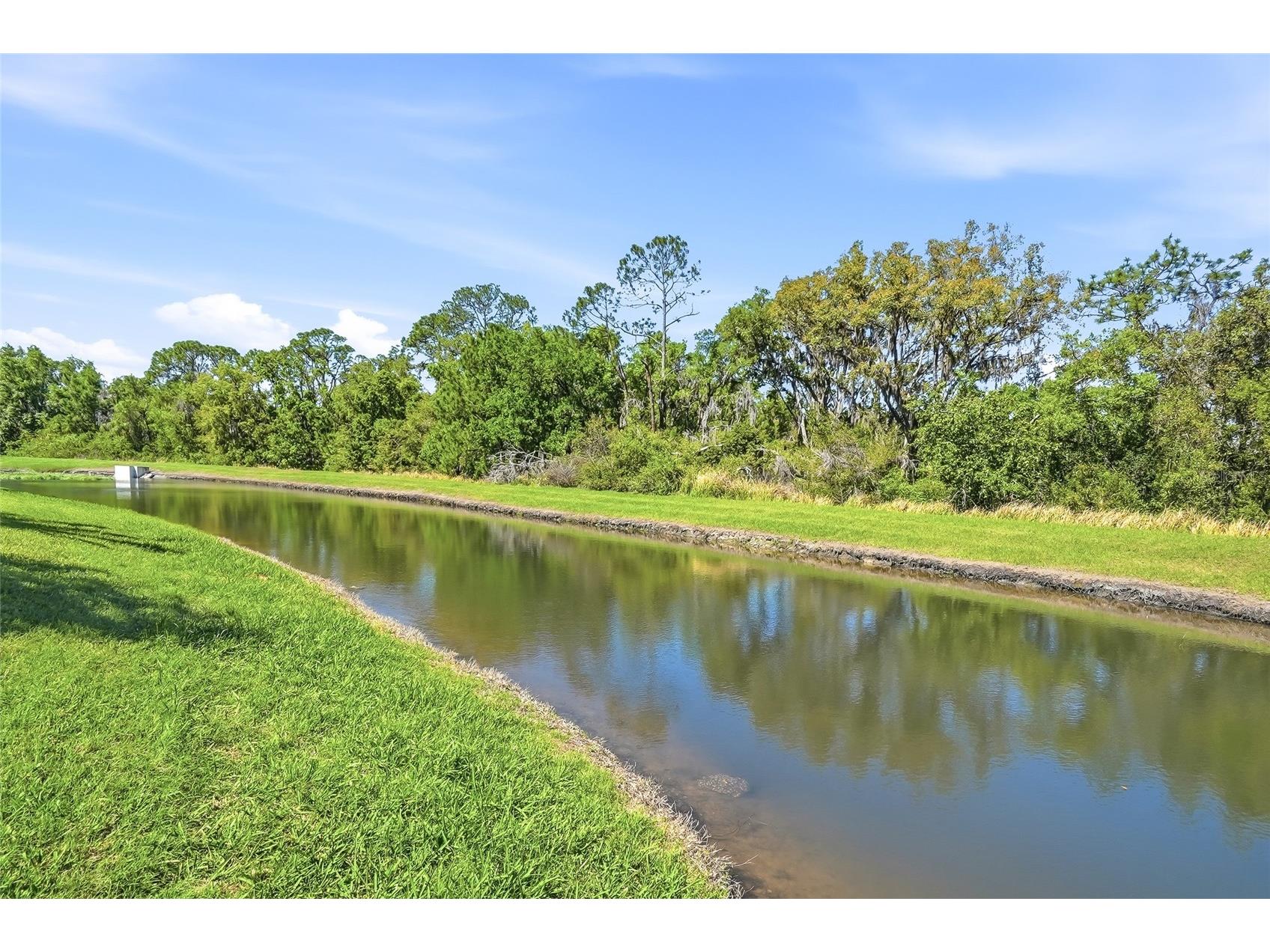 7101 Hatpin Loop Wesley Chapel FL 33545 TB8495168 image60
