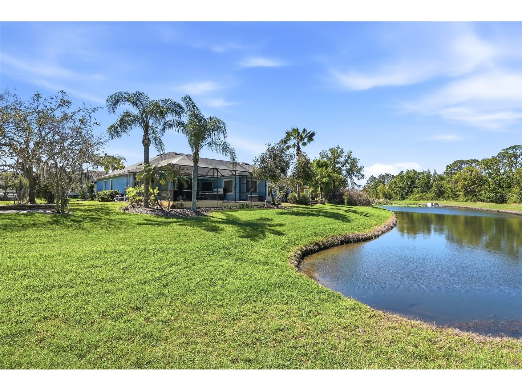 7101 Hatpin Loop Wesley Chapel FL 33545 TB8495168 image61