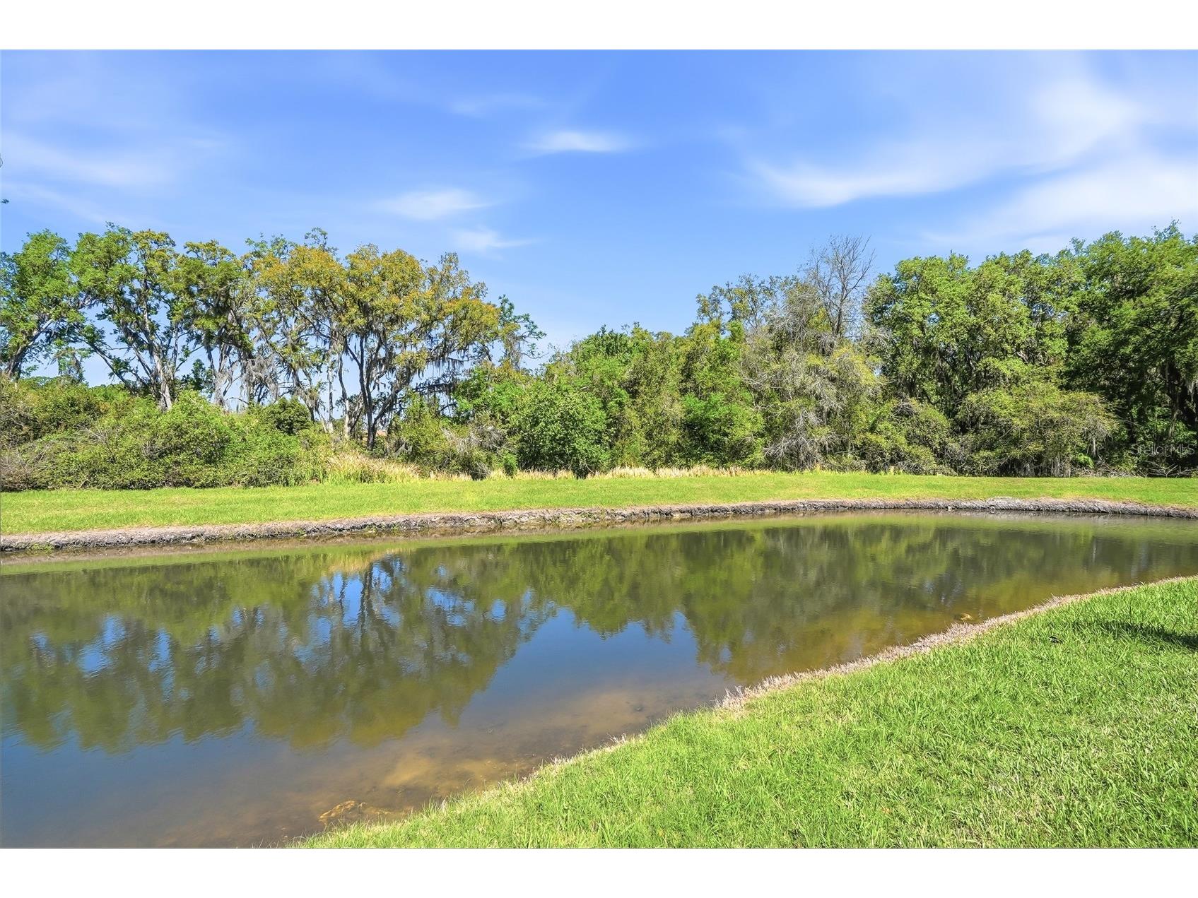 7101 Hatpin Loop Wesley Chapel FL 33545 TB8495168 image62