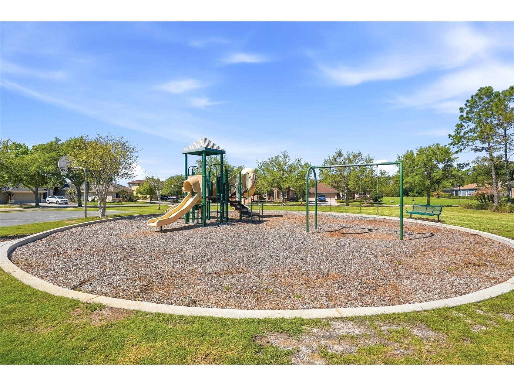 7101 Hatpin Loop Wesley Chapel FL 33545 TB8495168 image65