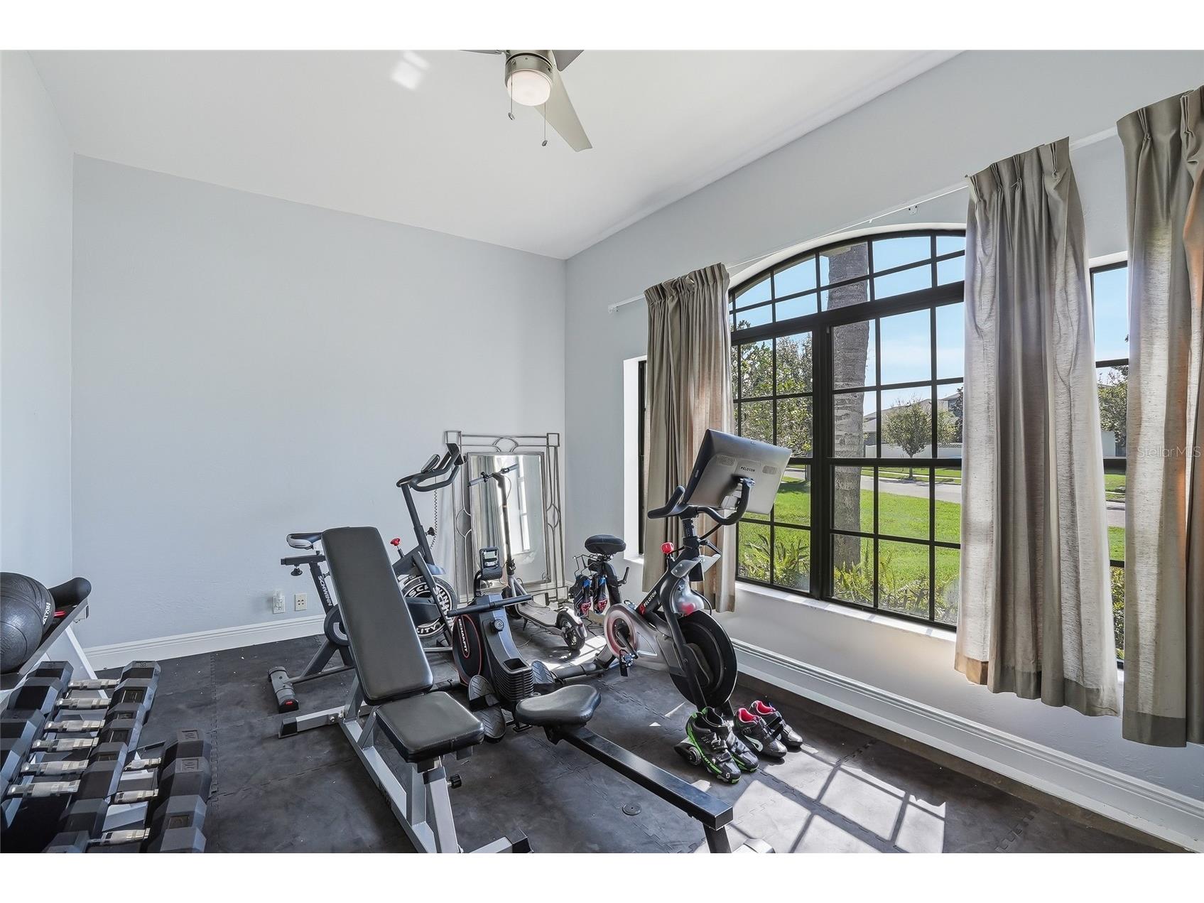 7101 Hatpin Loop Wesley Chapel FL 33545 TB8495168 image9