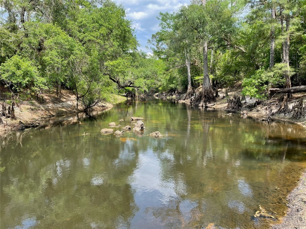 7101 Riverview Drive Webster FL 33597 - WITHLACOOCHEE RIVER T3456388 image1