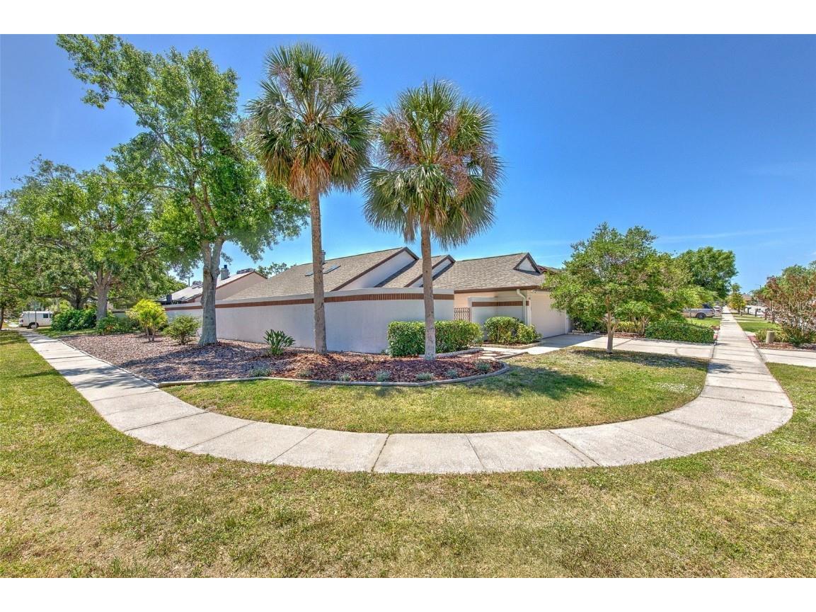 7102 Silvermill Drive Tampa FL 33635 OM700375 image1