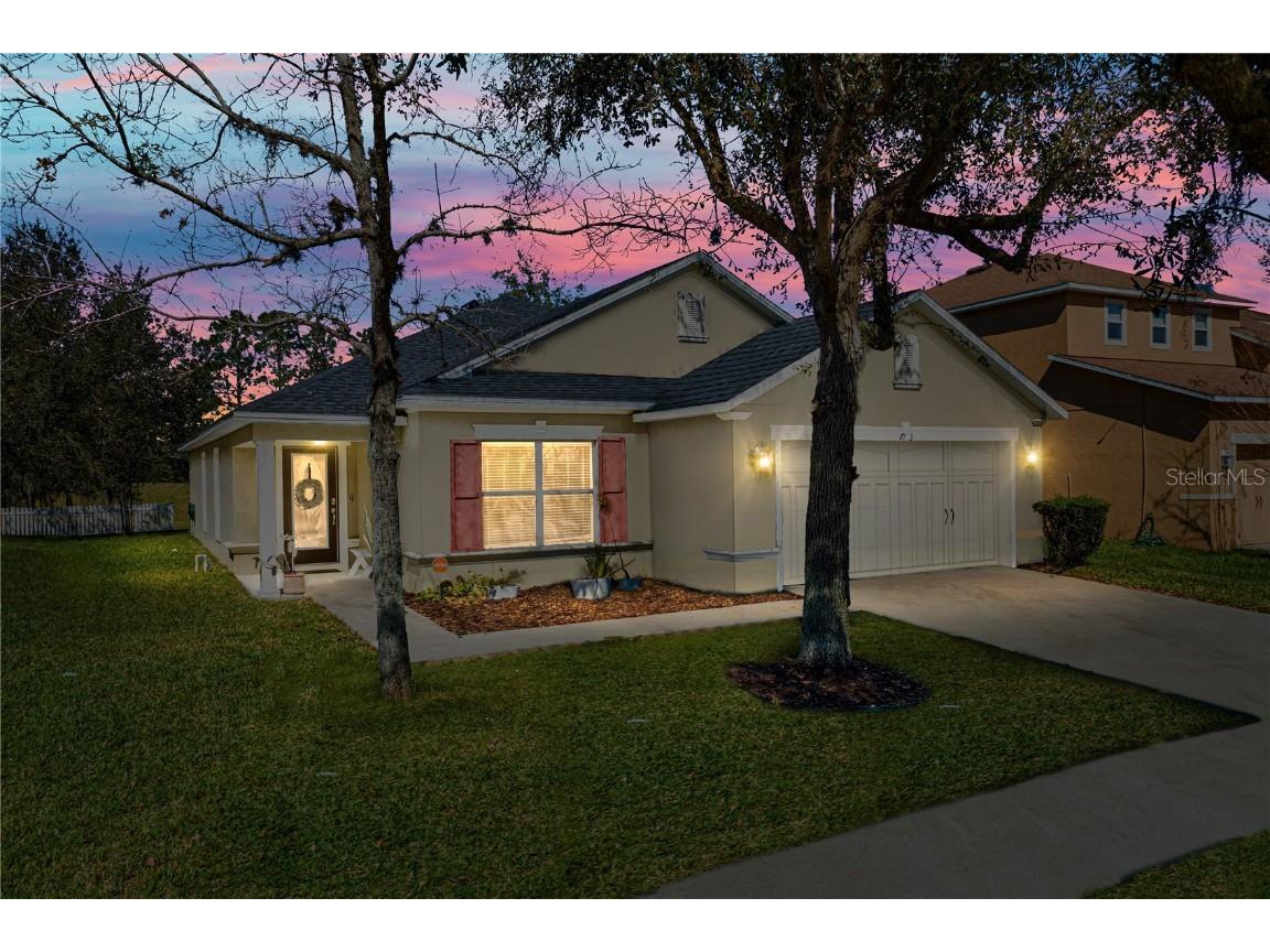 7103 Bridgeview Drive Wesley Chapel FL 33545 T3428988 image1