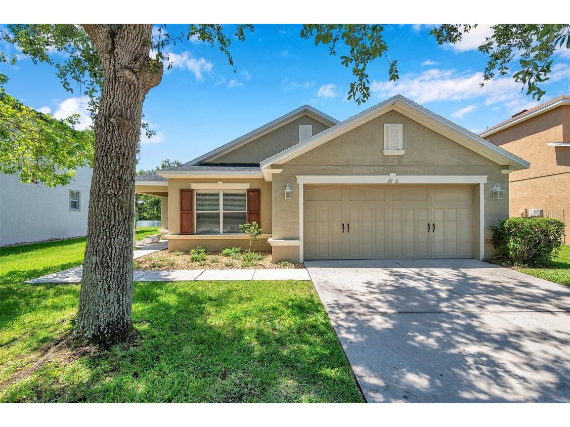 7103 Bridgeview Drive Wesley Chapel FL 33545 TB8386130 image1