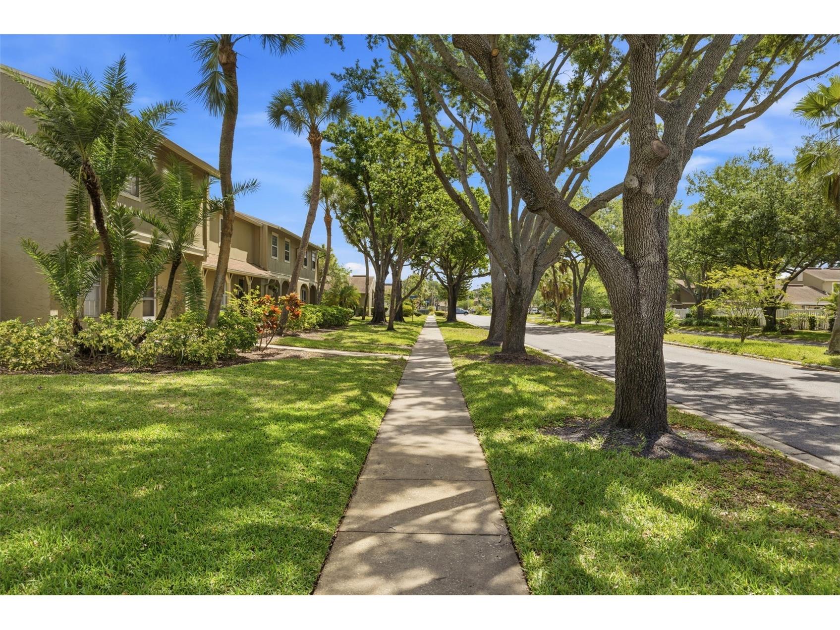 7103 Coronado Court Tampa FL 33615 TB8496426 image26
