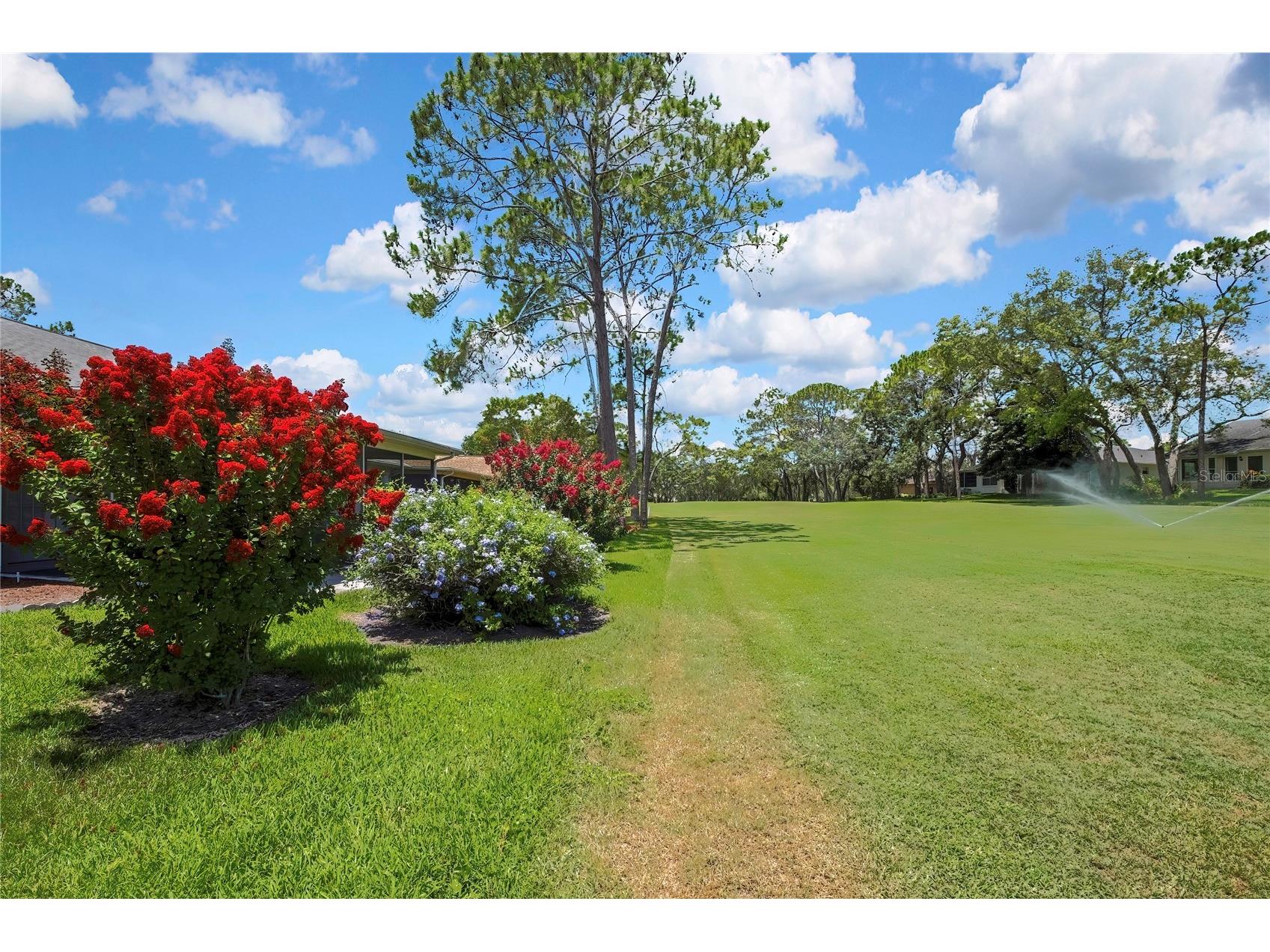 7103 Crown Oaks Drive Spring Hill FL 34606 TB8520172 image44