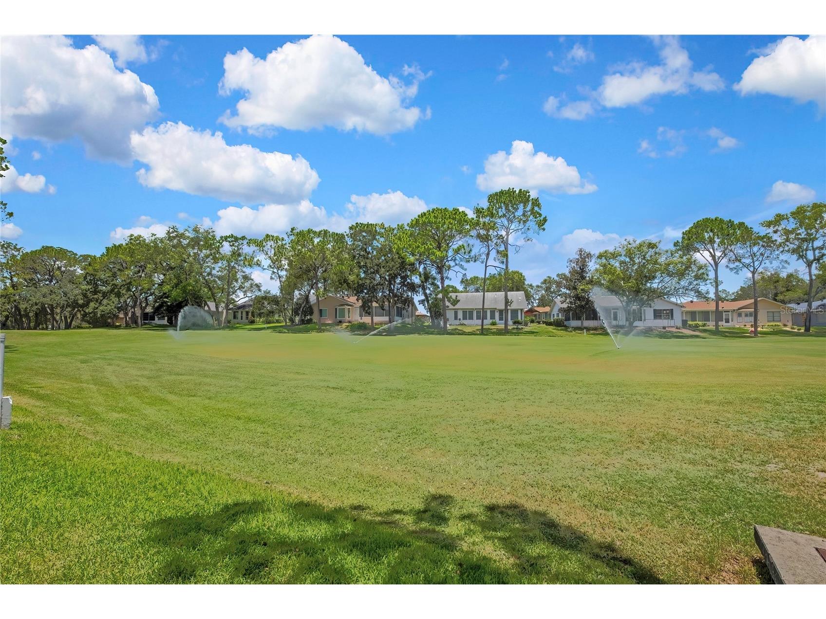 7103 Crown Oaks Drive Spring Hill FL 34606 TB8520172 image46