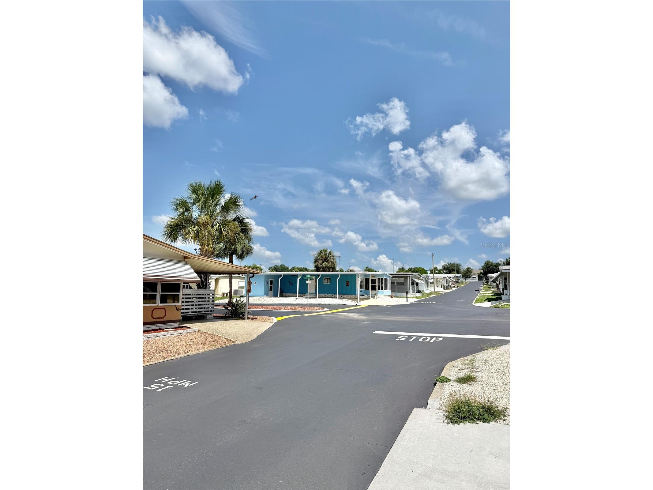 7103 El Meyers Street Zephyrhills FL 33541 TB8531779 image22