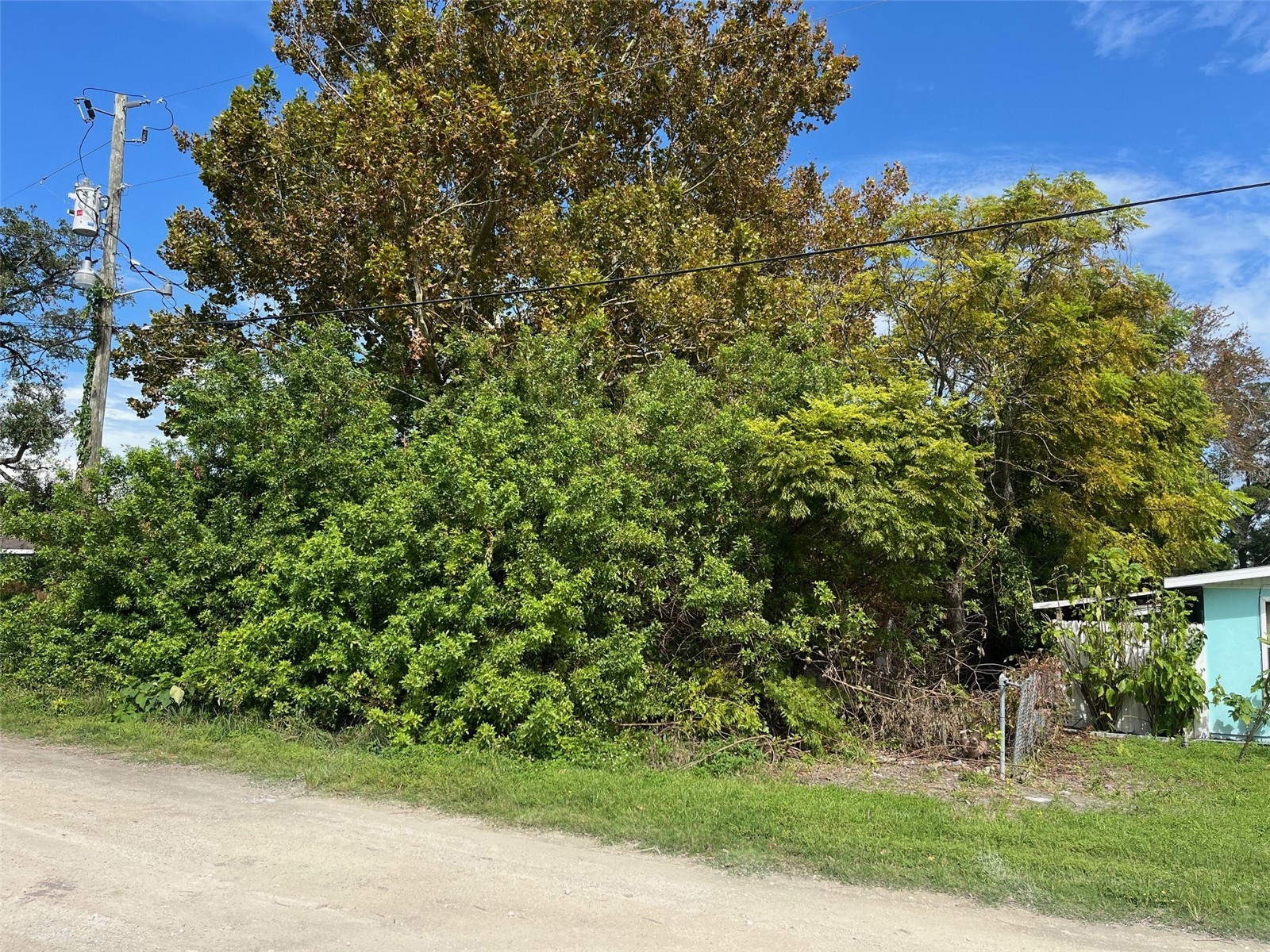 7103 Jeanne Avenue Hudson FL 34667 W7869831 image2