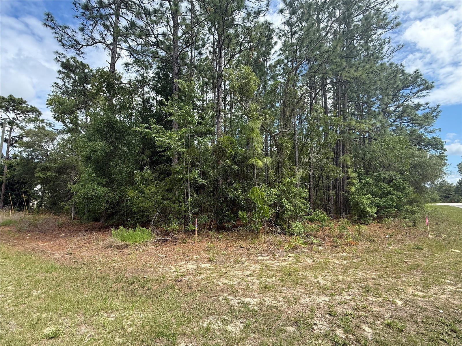 7103 N Hemmingway Drive Dunnellon FL 34434 TB8508523 image1