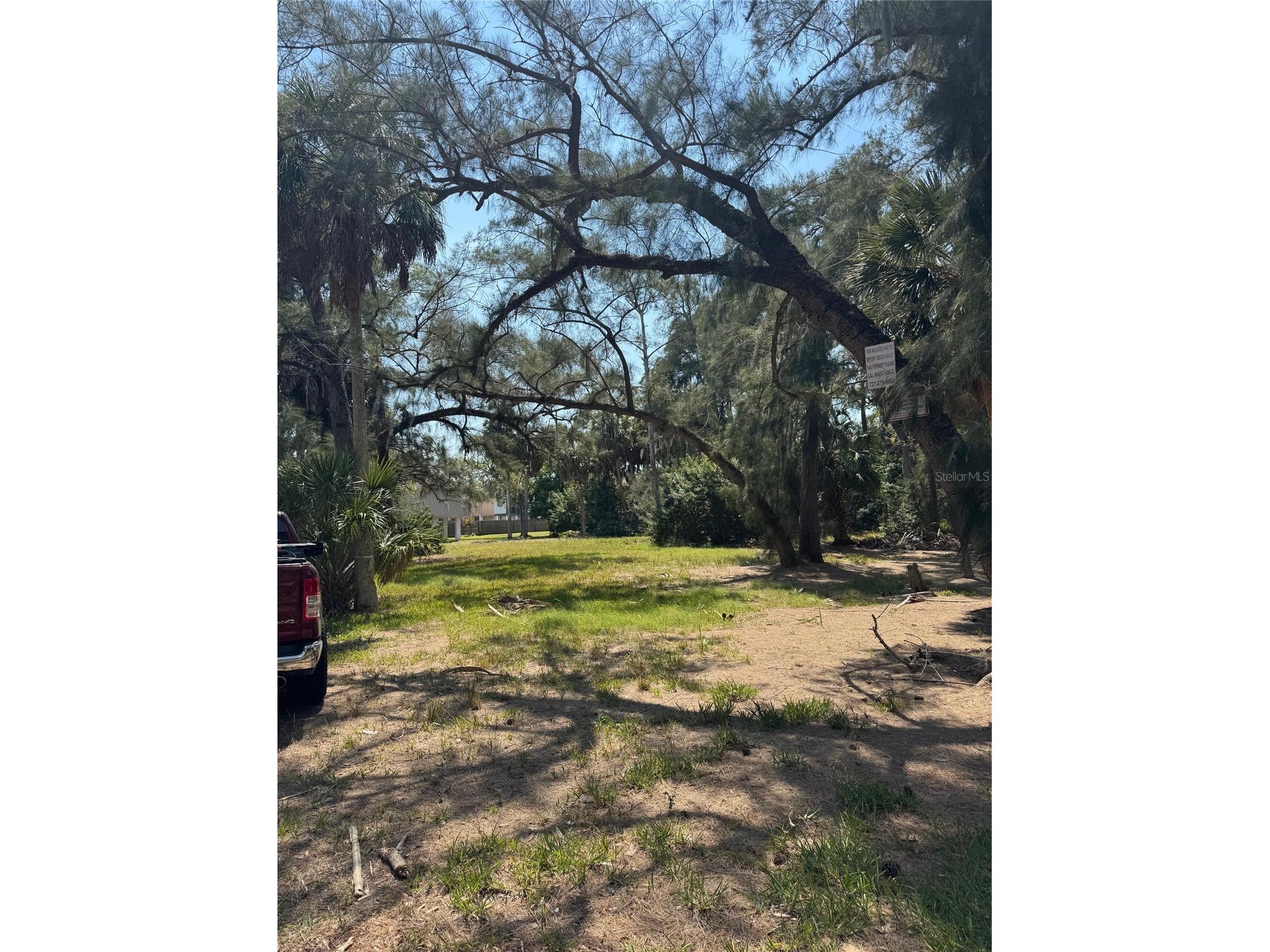 7103 Oakwood Drive New Port Richey FL 34652 A4688657 image3