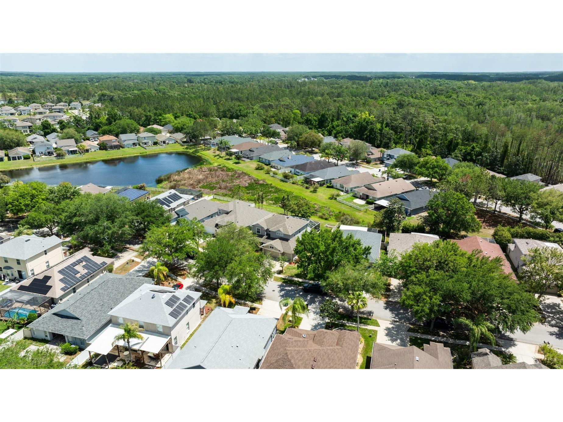 7104 Moss Ledge Run Land O Lakes FL 34637 - BAY LAKE TB8498091 image47