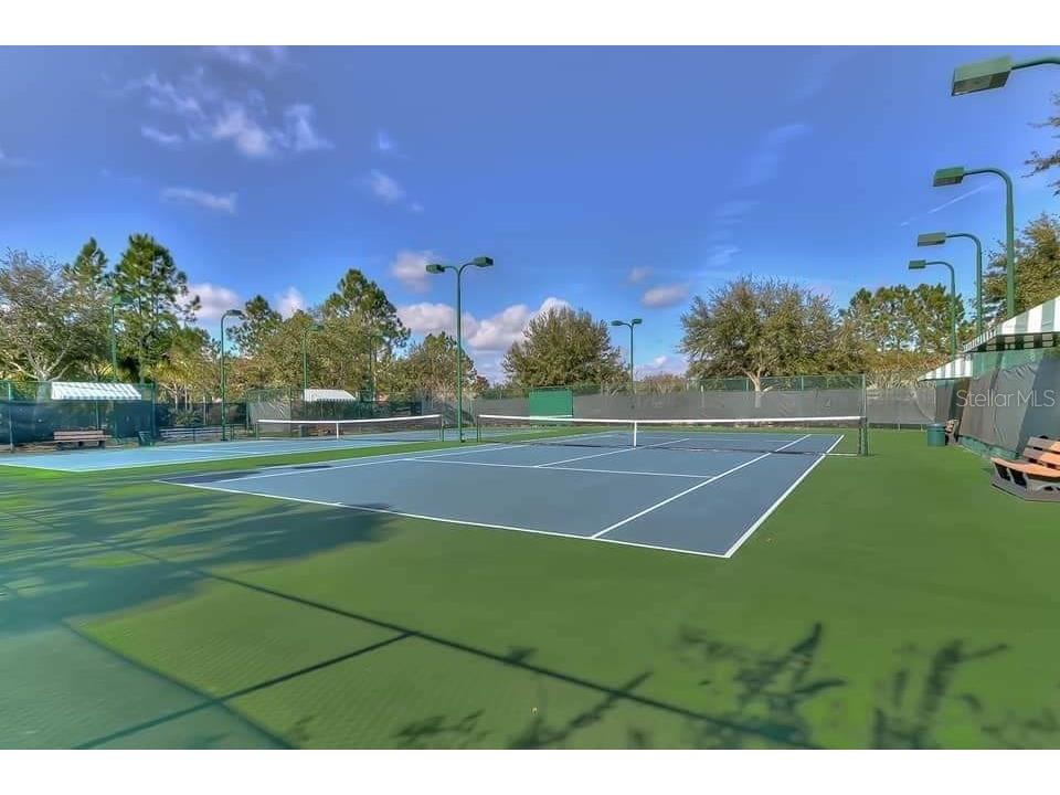 7104 Moss Ledge Run Land O Lakes FL 34637 - BAY LAKE TB8498091 image66