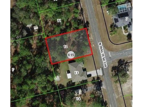 7104 N Maltese Drive Citrus Springs FL 34433 O6172116 image1