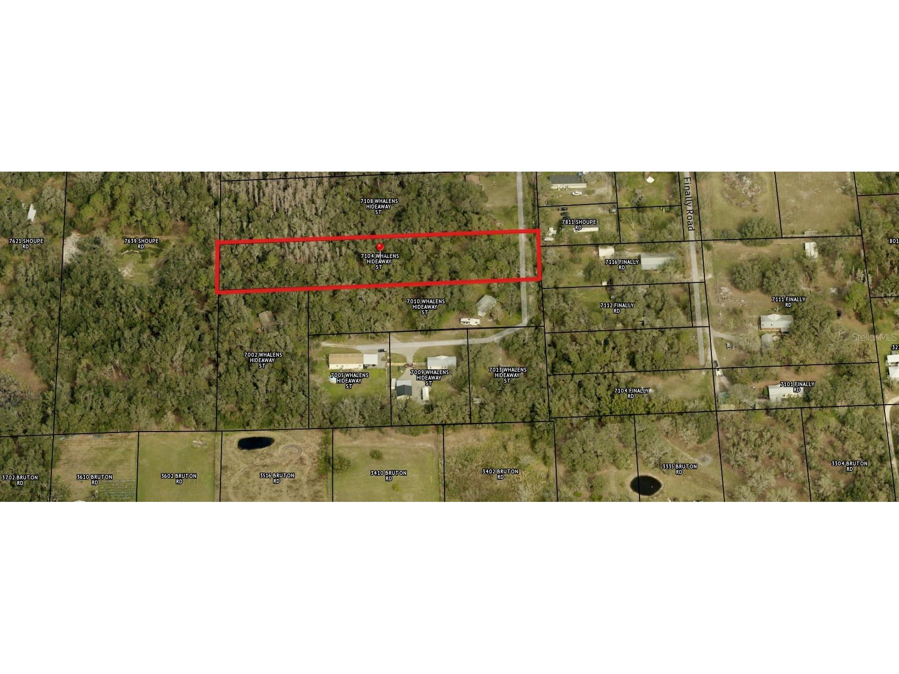 7104 Whalens Hideaway Street Plant City FL 33565 O6353269 image1