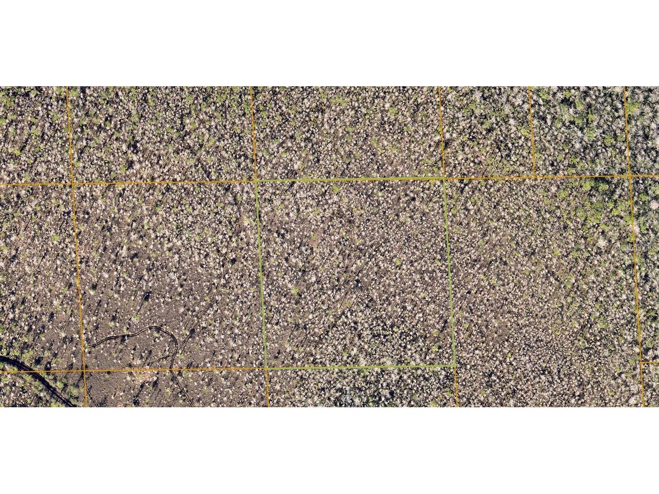 7105-01-09-0140 Inaccessible Track Deland FL 32724 A4618541 image1