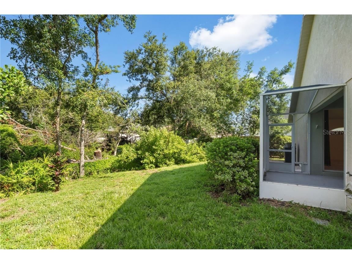 7105 Bucks Ford Drive Riverview FL 33578 TB8409319 image10