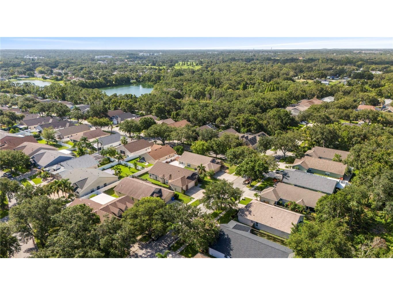 7105 Bucks Ford Drive Riverview FL 33578 TB8409319 image3