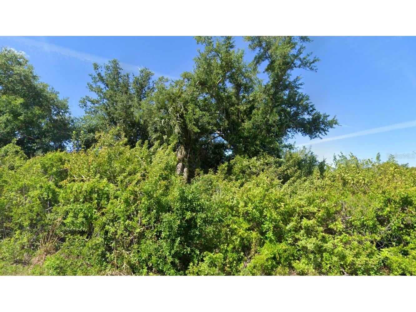 7105 Manniz Road Port Charlotte FL 33981 D6143653 image3