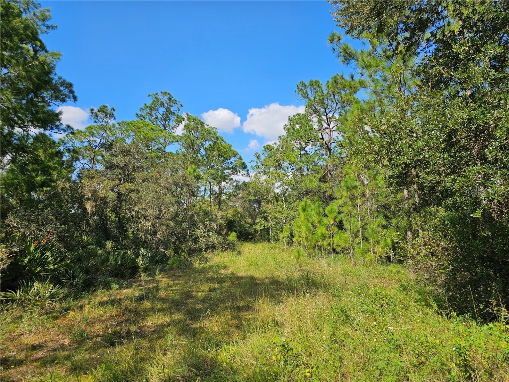 7105 Orchid Place Sebring FL 33875 P4932383 image3