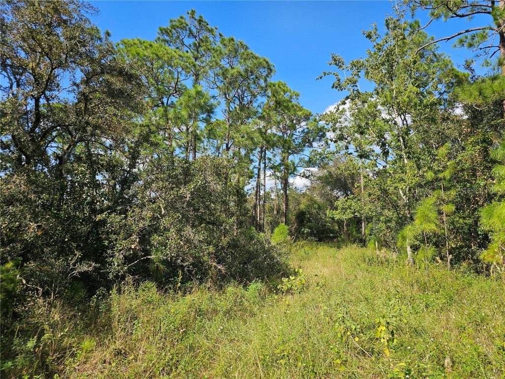 7105 Orchid Place Sebring FL 33875 P4932383 image8