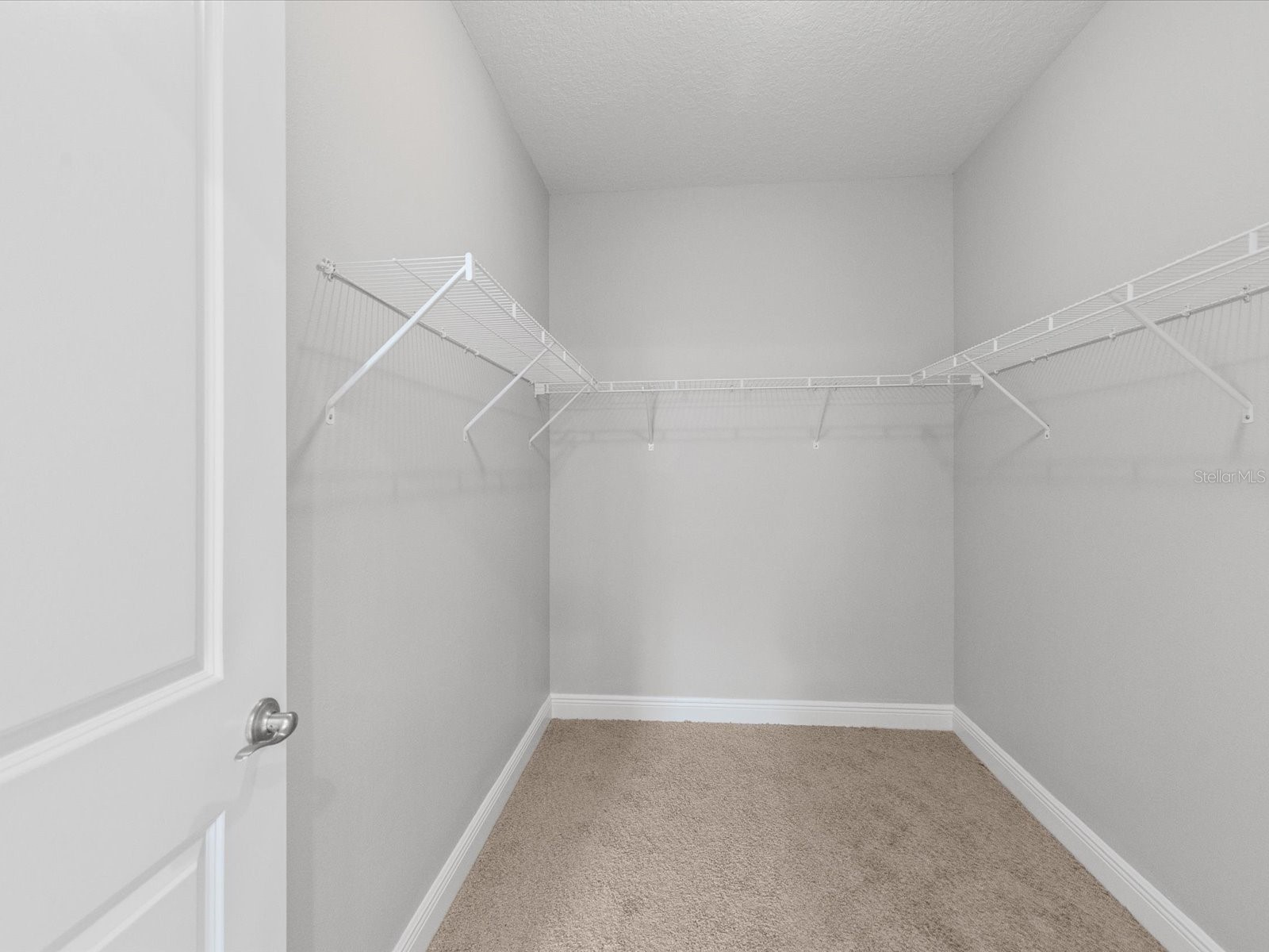 7105 Park Tree Drive Tampa FL 33625 A4693641 image16