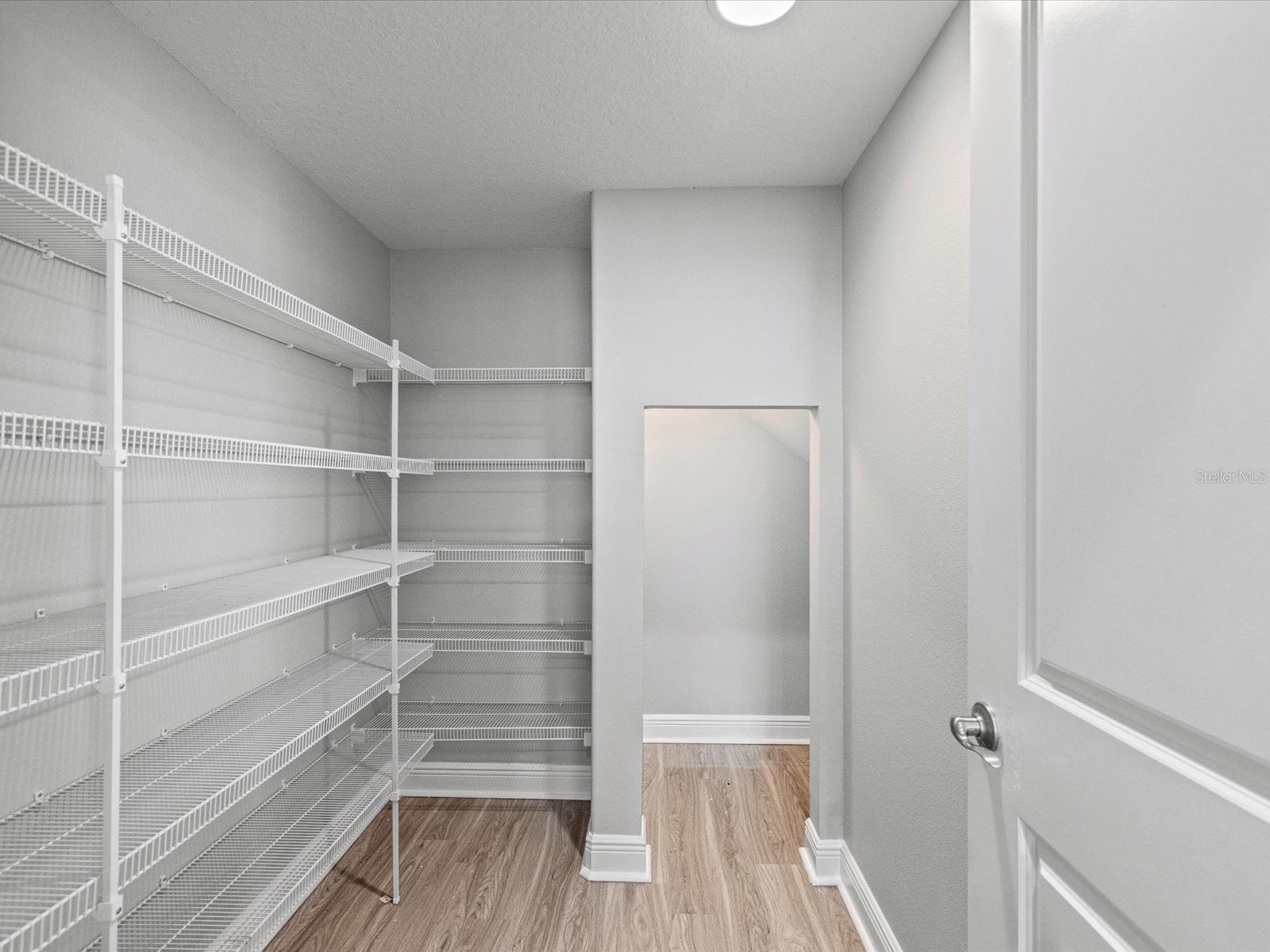 7105 Park Tree Drive Tampa FL 33625 A4693641 image24