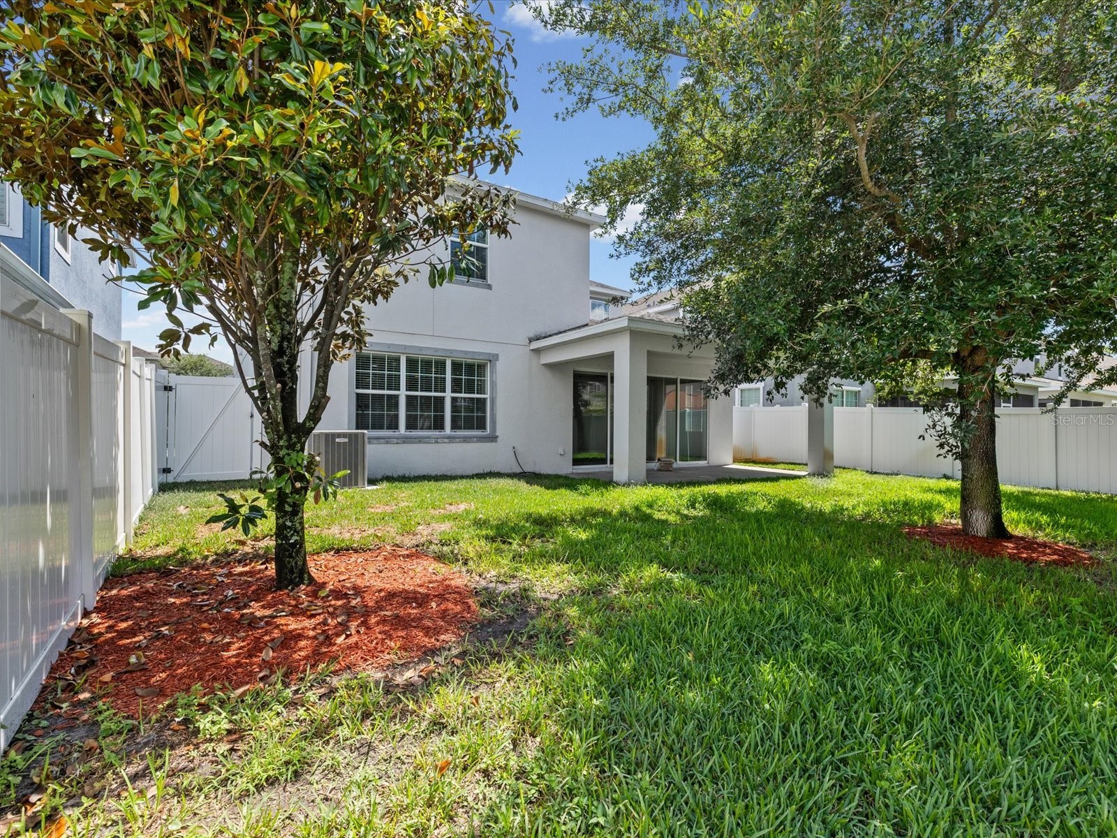 7105 Park Tree Drive Tampa FL 33625 A4693641 image29