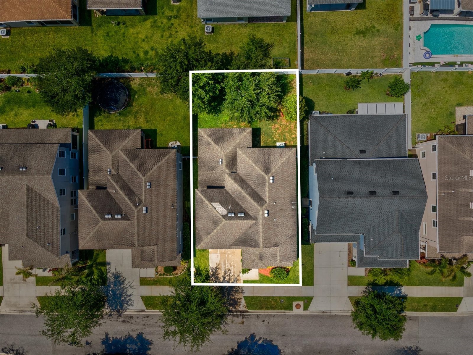 7105 Park Tree Drive Tampa FL 33625 A4693641 image33