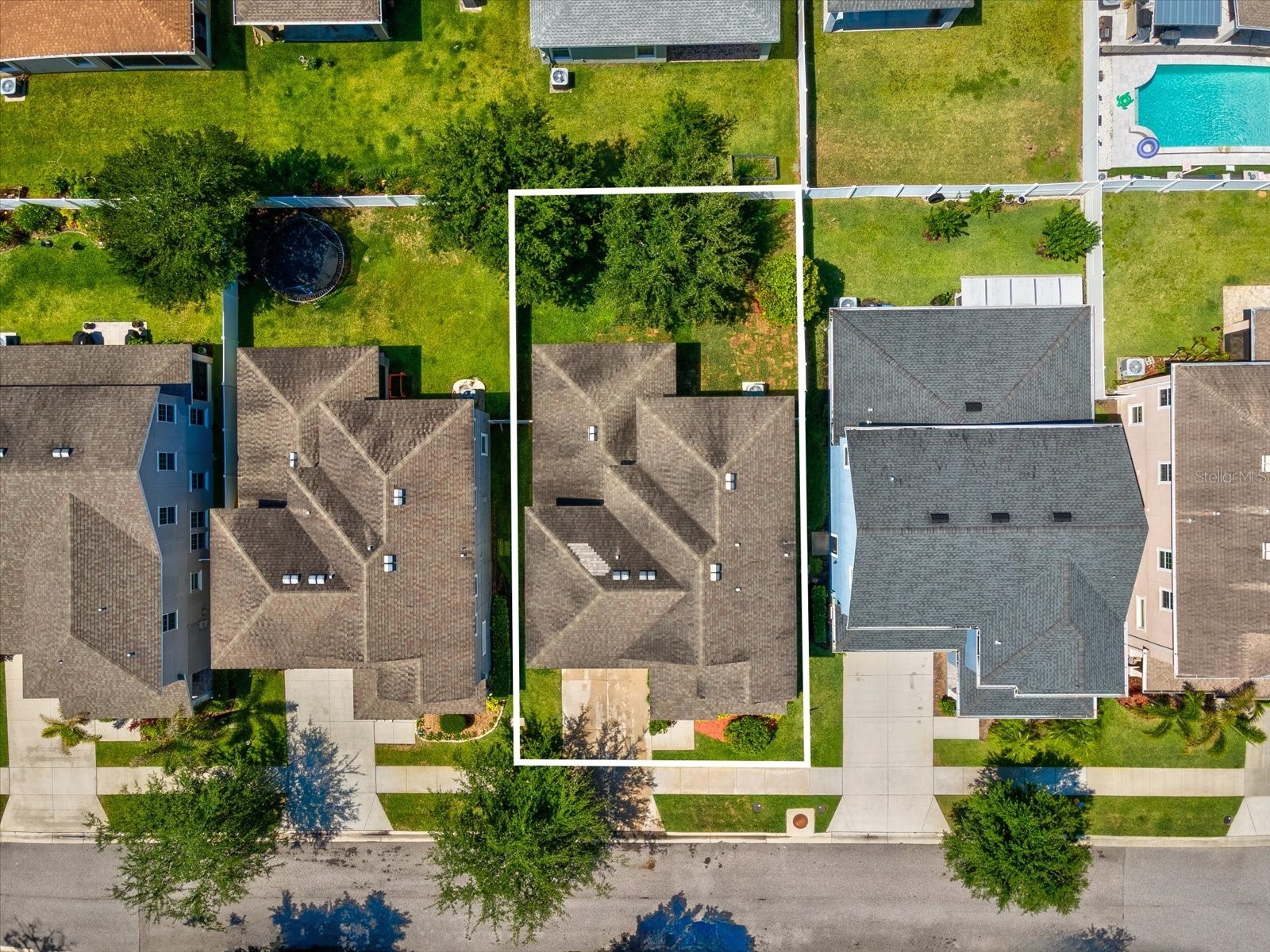 7105 Park Tree Drive Tampa FL 33625 A4693641 image34